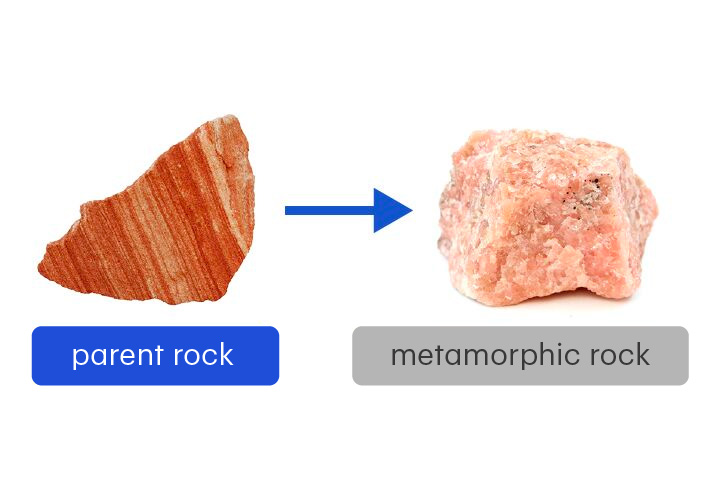 <p>The original rock from which a metamorphic rock formed</p><p>Parent rocks may be sedimentary, igneous or metamorphic.</p>