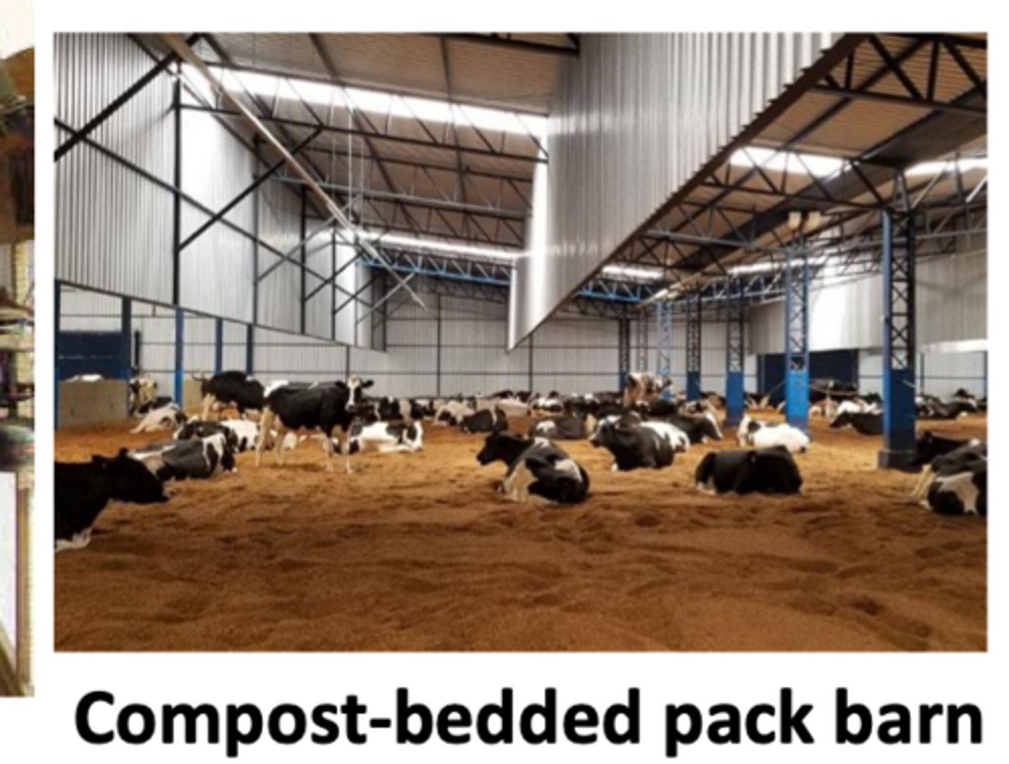 <p>how might you describe a compost-bedded pack barn + parlor confinement system</p>