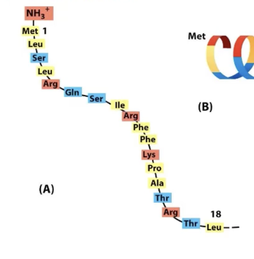 <p>Charged amino acid every 3-4 amino acids apart (every helix turn)! </p><p>This creates an <strong>amphipathic alpha helix,</strong> charged amino acids cluster on one face!  </p><p>All that matters is the chemical nature of amino acids in appropriate locations.</p>