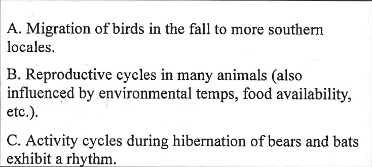 <p>Environmental stimuli or internal (endogenous) stimuli trigger behaviors in animals</p><p></p><p>Circadian rhythms: daily (24 hr) cycles or biological clocks that influence behavior</p><p></p><p>Circannual rhythms influence yearly cycles of behavior like migration</p>