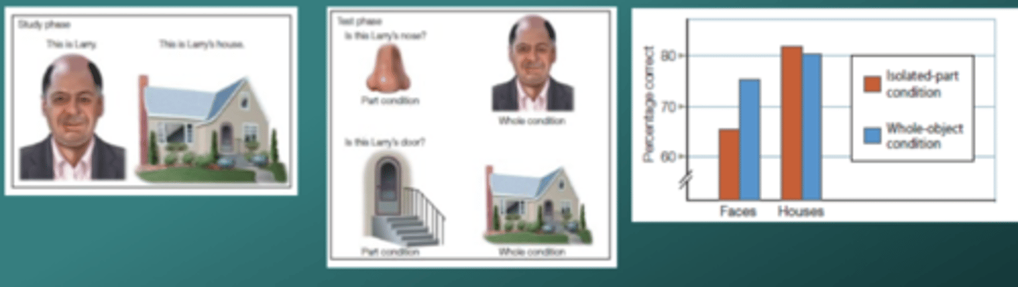 <p>comp recognising a part of a face comp to recognising a part of an object - evidence for specialist face proc and holistic proc over parts</p>