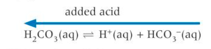 <p>[H+] increases</p><p>H+ ions react with the conjugate base, HCO<sub>3</sub>-</p><p>Equilibrium shifts to the left</p>