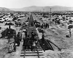 <p>Pacific Railroad Act </p>