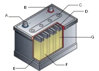 <p>What is this diagram? Label it (1/7)</p>