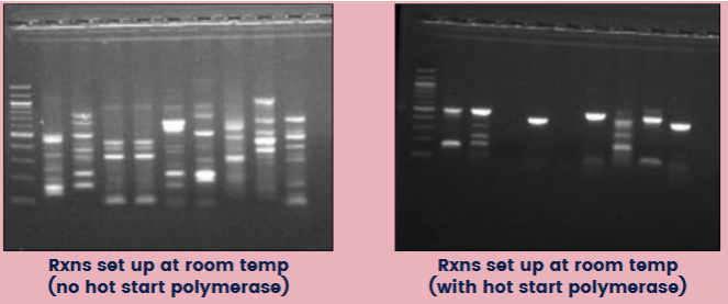 <ul><li><p><span>Hot start polymerase: a sequestered enzyme that requires an initial heat activation</span></p><ul><li><p><span><u>Benefits</u>: starts the reaction at desired time and temp; avoid getting misprimes and unwanted products</span></p></li></ul></li><li><p><span><u>If NOT using a hot start enzyme, reactions should be set up on ice</u></span></p></li></ul><p></p>