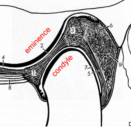 <p>identify 6 </p>