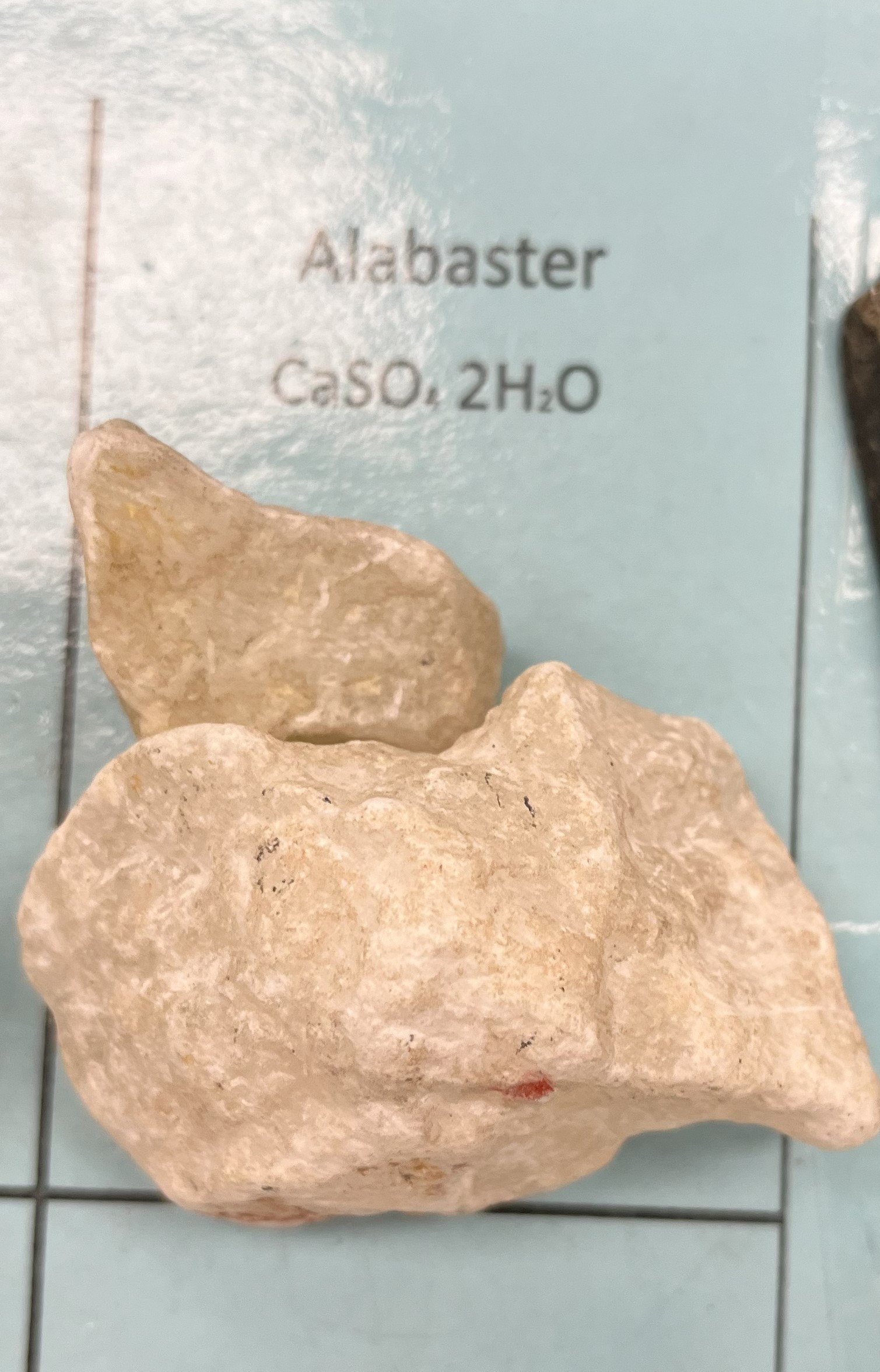 <p>Alabaster</p>