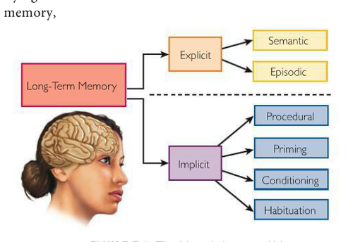 memory of facts and experiences that one can consciously know and declare-processed in the hipppocampus
