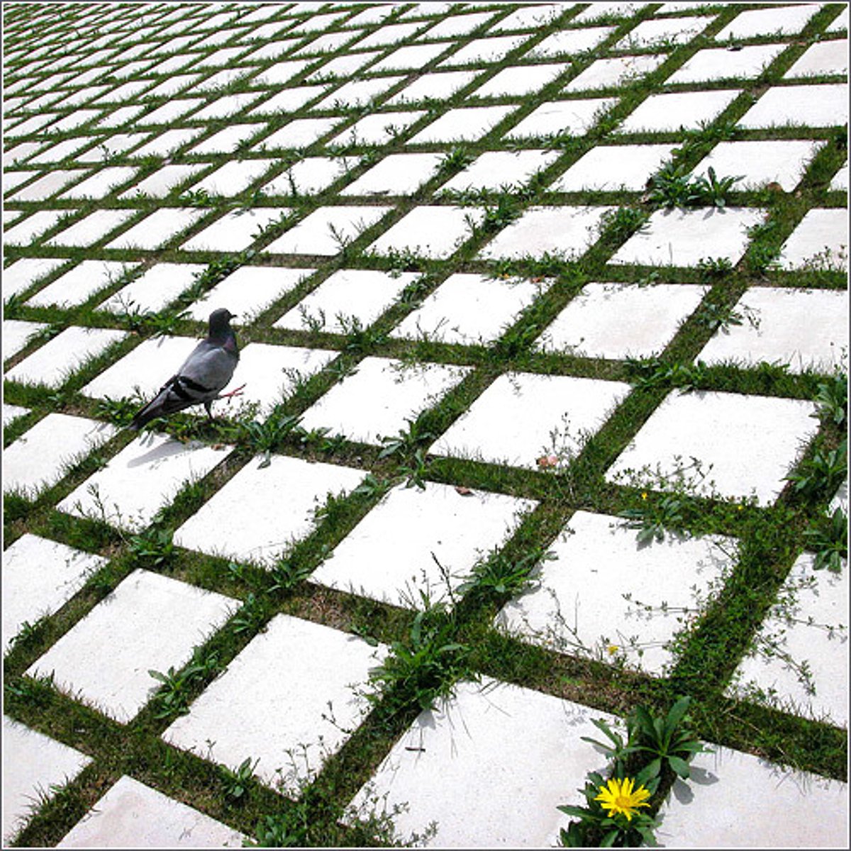 <p>(adv) một cách đồng nhất</p>