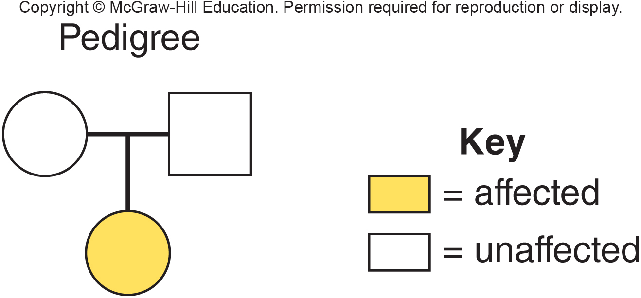 <p>In the above pedigree the inheritance pattern is</p><ol><li><p><br> </p></li></ol><p></p>