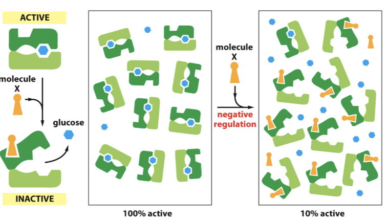 <p>Binding of inhibitor causes conformational change, which is incompatible with substrate binding.</p>
