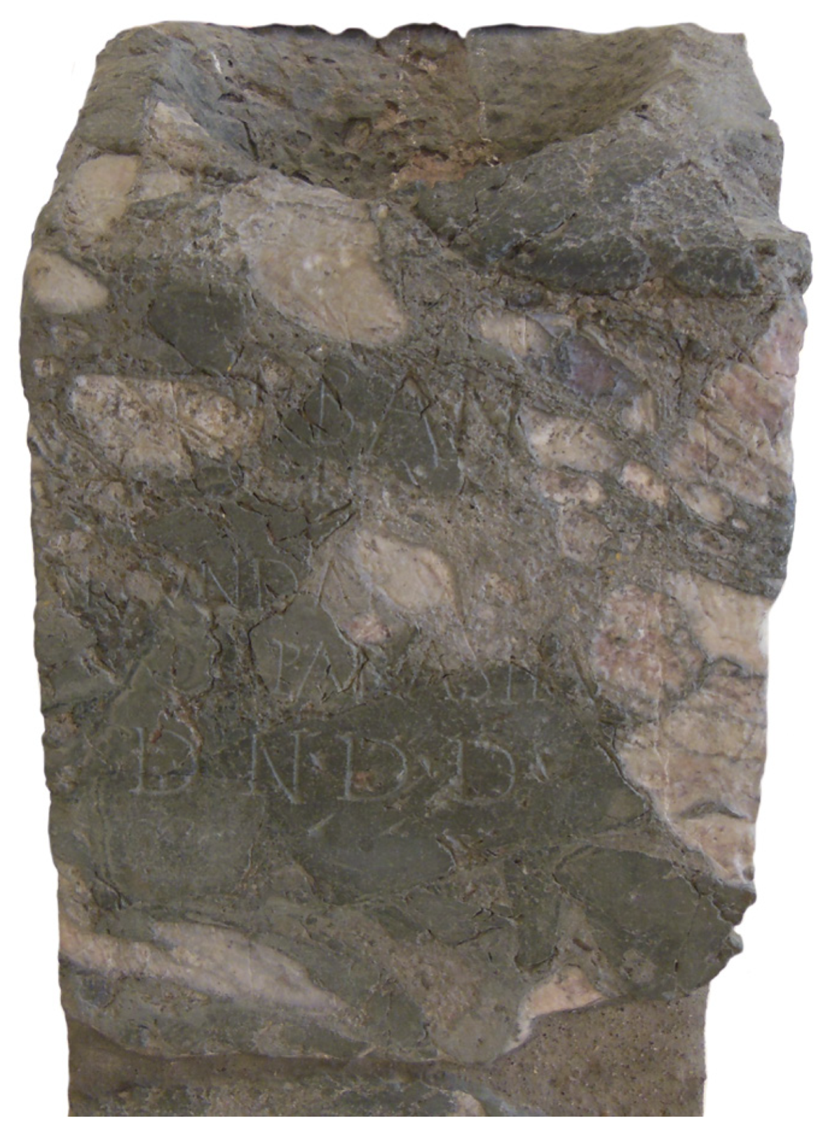 <p>98</p>
