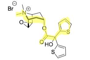 <p>Antagonist</p><p>M1 selective</p><p>Long acting</p><p>Protonated amine means it stays in the lungs</p>
