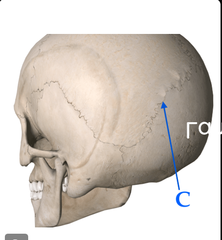 <p>What’s C?</p>