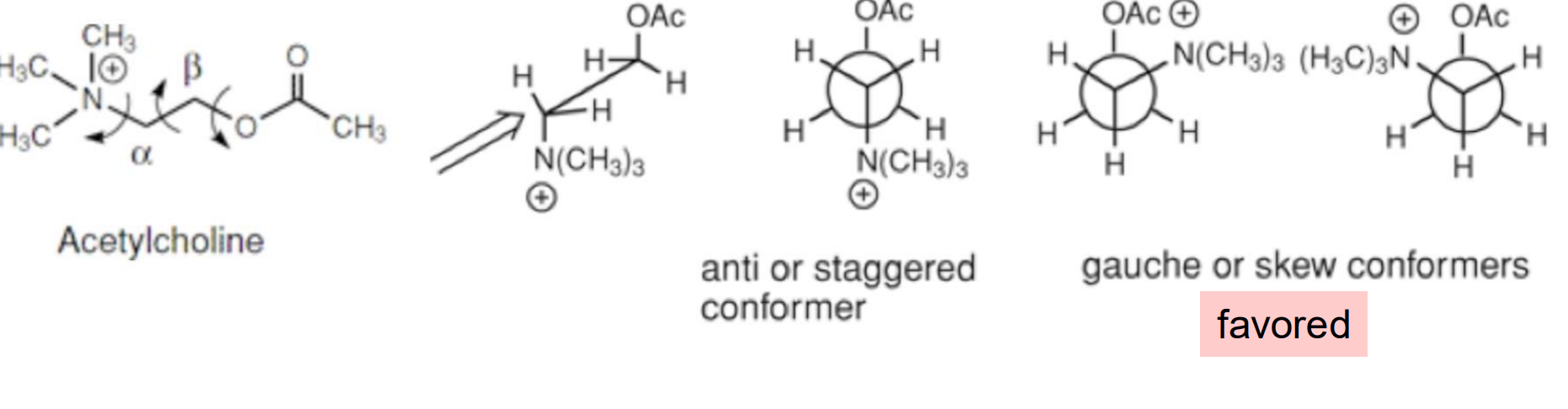 <p>Sometimes the most stable conformation is based on an intramolecular interaction that can override steric considerations →Intramolecular ion-dipole interaction favors the gauche conformer </p><ul><li><p>Example: Acetylcholine, a highly flexible molecule, is surprisingly found in both solution and crystals in the gauche conformation</p></li></ul><p></p>
