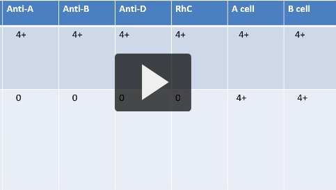 <p>THIS IS THE SAME SAMPLE, WHAT DOES THIS MEAN</p>