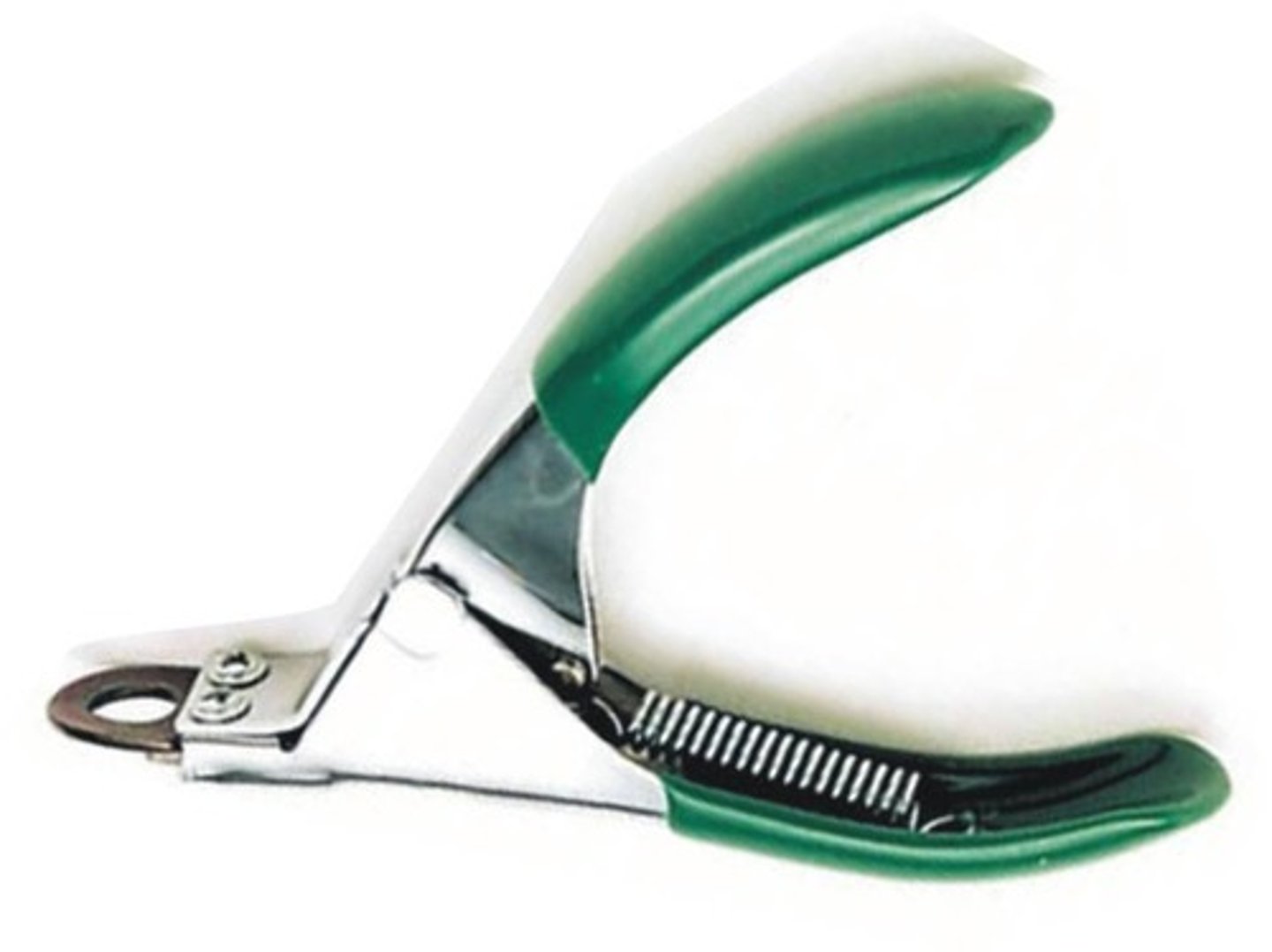 <p>used to remove the dewclaw</p>