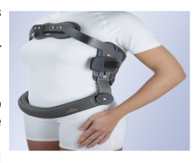 <p>Identify this Orthosis</p>