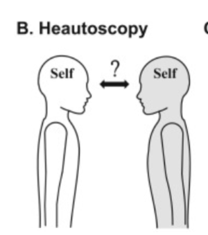 <p>see your own body and a view of the world from that location - inhibiting another space; in that horizontal plane</p>