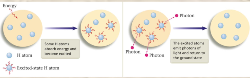 <p>There are multiple states of an atom—“atomic states.” The excited state is when an atom has excess energy. The ground state is when an atom is in the lowest possible state or most stable configuration—there is no extra energy added to it. When a hydrogen atom absorbs energy from an outside source it enters and excited state as it has extra energy.</p>