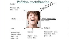 The formation of political attitudes.