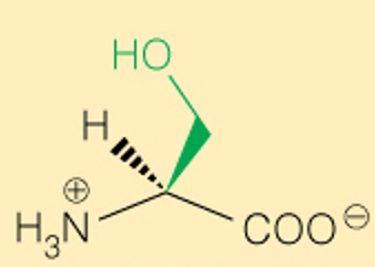 <p>Full</p>