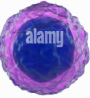 <p>What is this?</p>