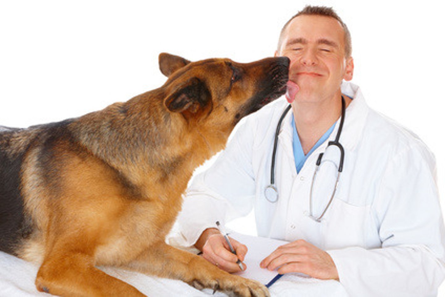 <p>veterinarian</p>