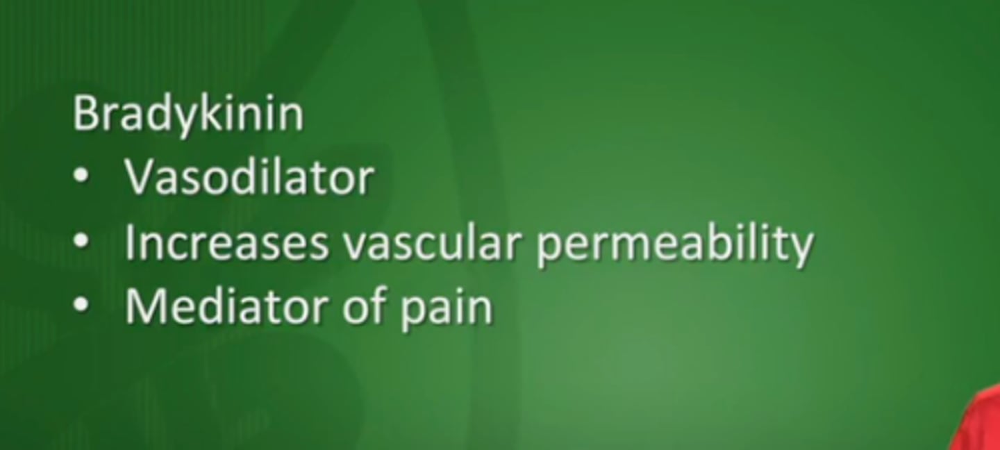 <p>A chemical mediator that is released during inflammation --&gt; causes vasodilation</p>