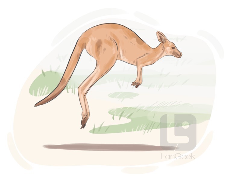 <p><strong>If a small animal, bird, or insect hops, it moves by jumping on all or two of its feet at the same time:</strong></p>