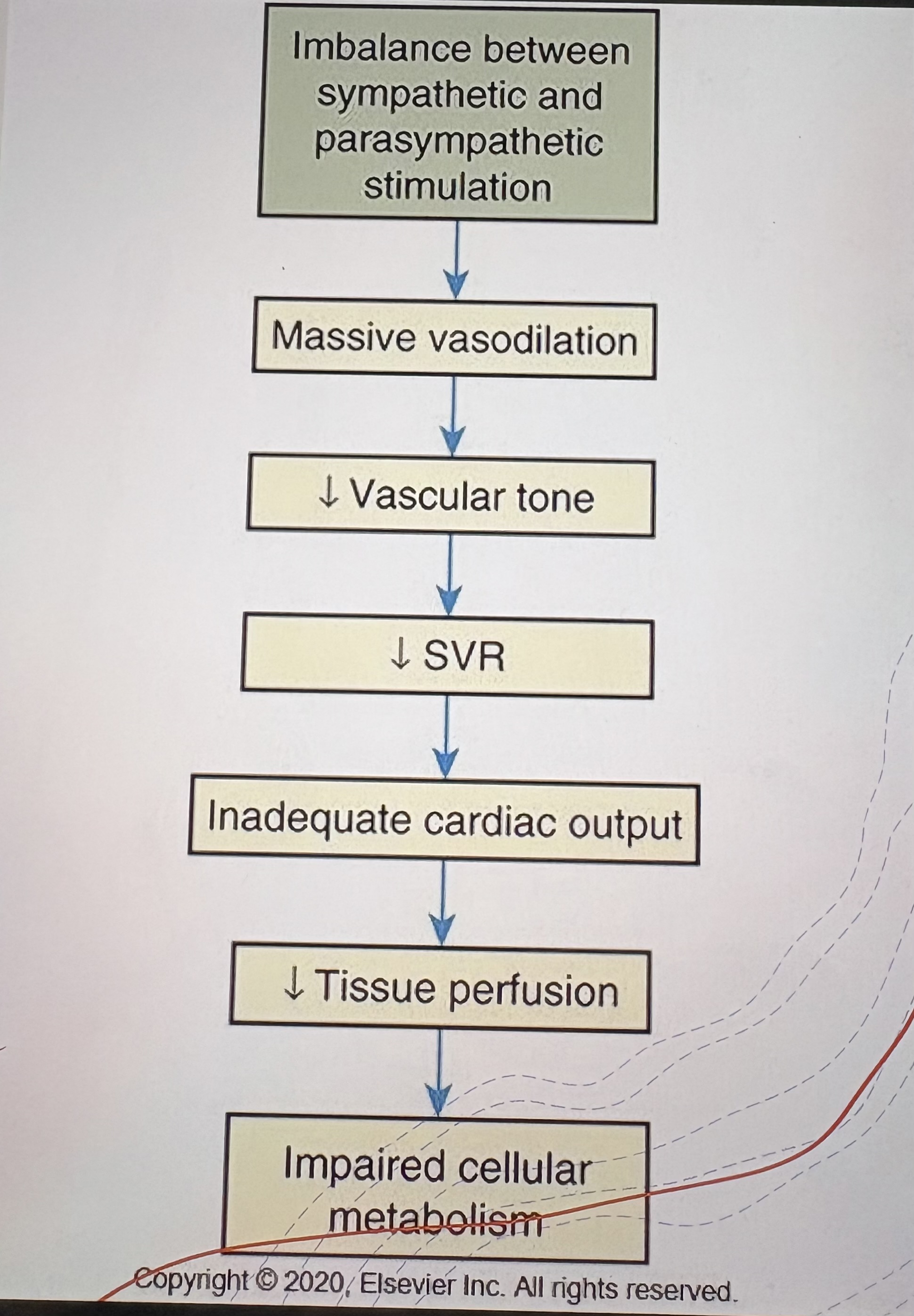 <p>Loss of sympathetic tone  →  vasodilation  →  ↓SVR  →  ↓Tissue perfusion</p>