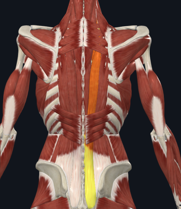 <p>What is highlighted</p>