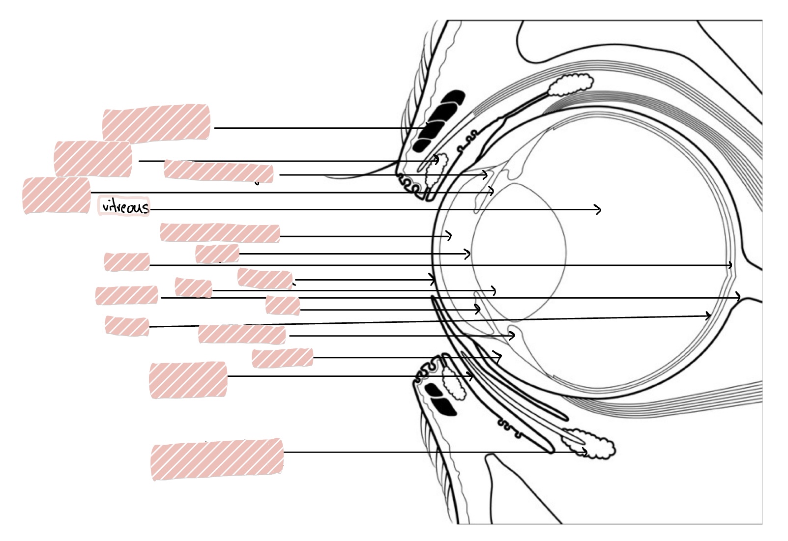 knowt flashcard image