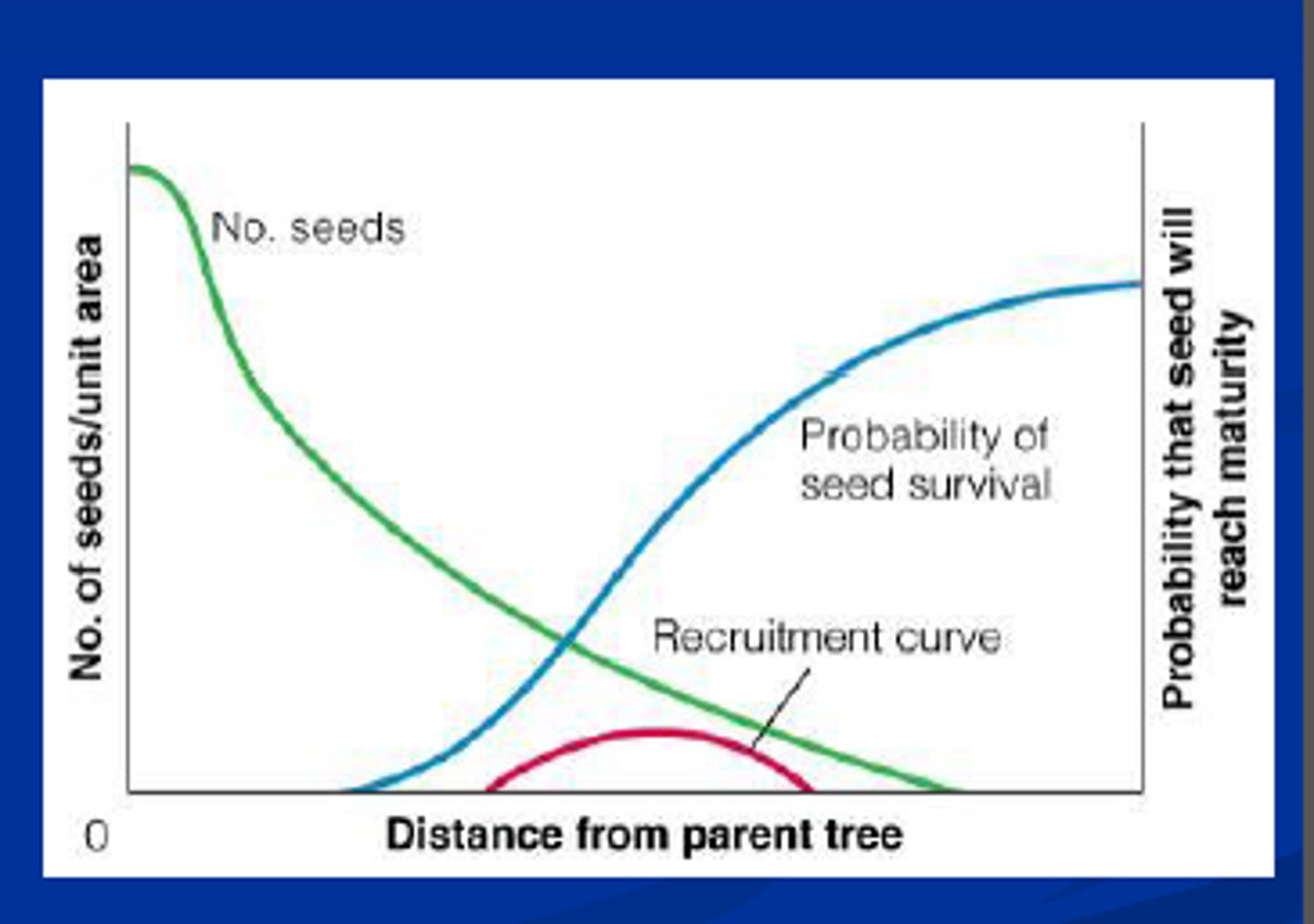 <p>probability of seed dispersal decreases as distance from parent plant increases</p>