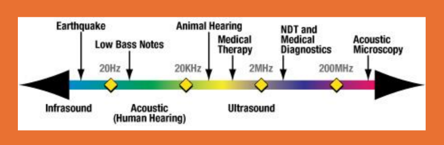 <p>•Ultrasound</p><p>• Frequency >20kHz</p><p>• Too high for humans to hear</p>