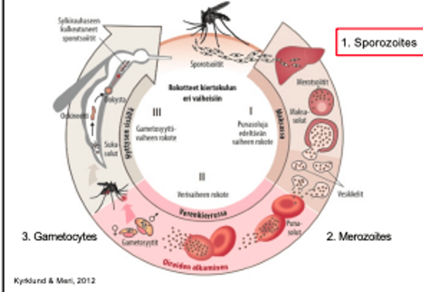 <p>RTS,S/AS01 malaria vaccine for children living in high-risk P.falciparum malaria transmission areas<br><br>R21/Matrix-M malaria vaccine to be used in Africa</p>