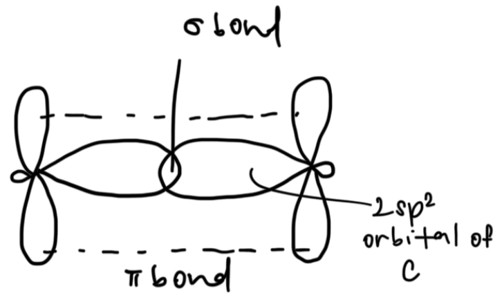 <p>Structure: Trigonal planar about C</p><p>Bonds: </p><p>C=C: Head-on overlap between sp2 and sp2 to form sigma bond, sideway overlap between 2p and 2p to form π bond</p><p>C-H: Head-on overlap between sp2 of C and 1s of H to form sigma bond</p>