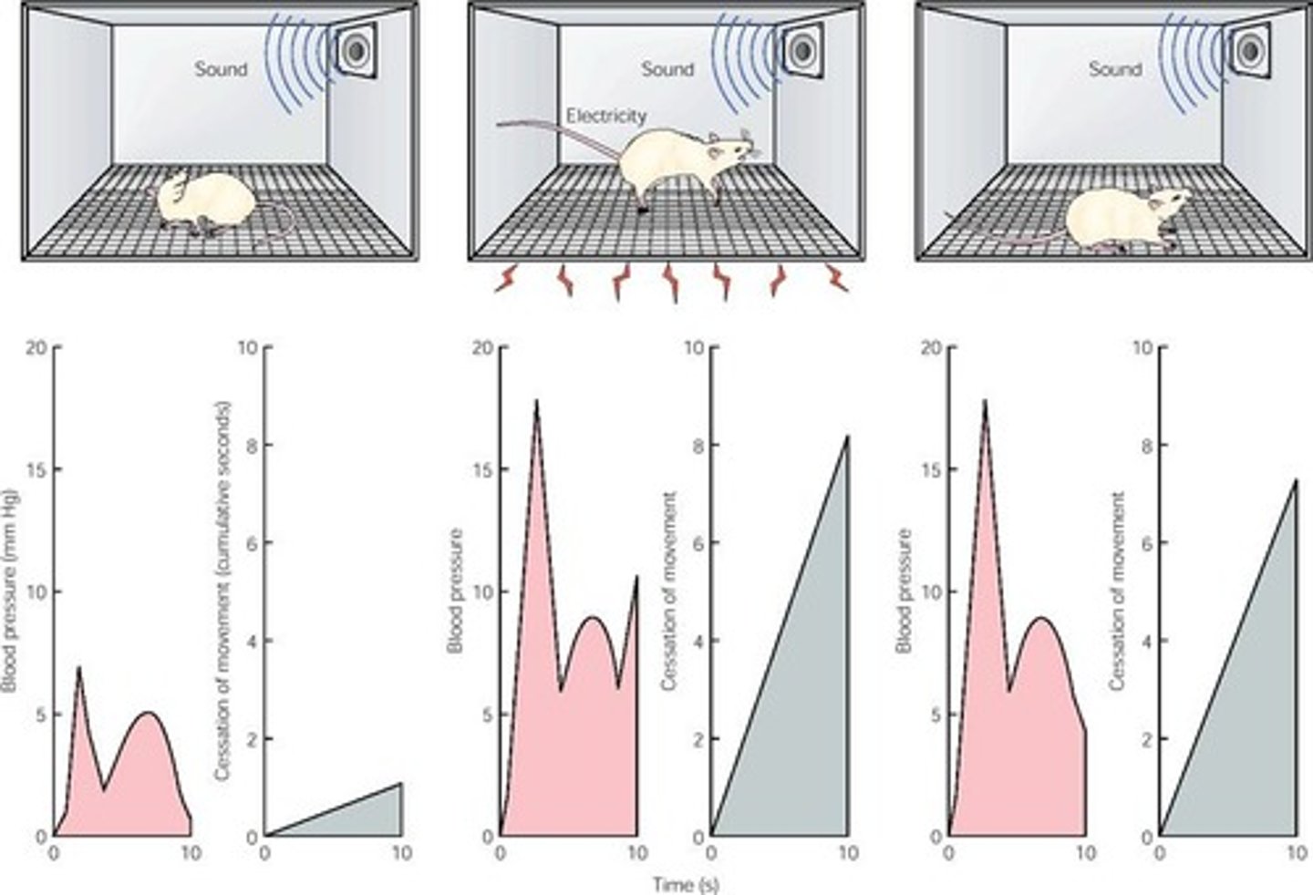 <p>Body prepares for drug effects in familiar contexts</p>
