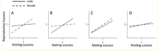 <p><span style="color: #0c0b0b"> What predictions can you make based on data represented by these graphs?</span><span style="color: #0c0b0b"><br></span><span style="color: #0c0b0b">A. Which sex is likely to compete strongly for access to mates </span><span style="color: #0c0b0b"><br></span><span style="color: #0c0b0b">B. Which sex is likely to have higher variation in mating success among individuals </span></p><p><span style="color: #0c0b0b">C. Which type of polygamy is likely to occur in the population </span><span style="color: #0c0b0b"><br></span><span style="color: #0c0b0b">D. A&amp;B</span><span style="color: #0c0b0b"><br></span><span style="color: #0c0b0b">E. All of the above</span><br></p>