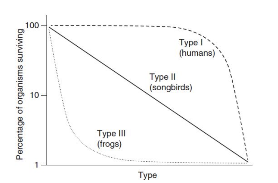 Figure 7.2 Survivorship curves.
