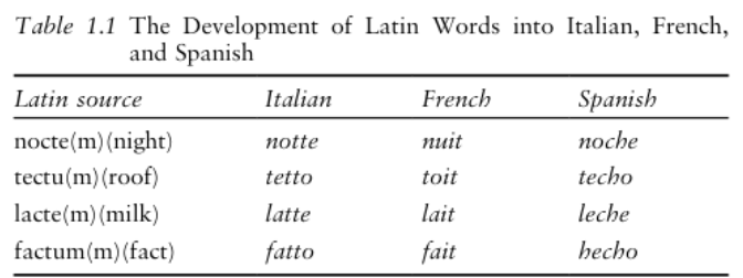 <p><span style="color: inherit">1) Cognates</span></p>