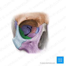 in frontal bone 
