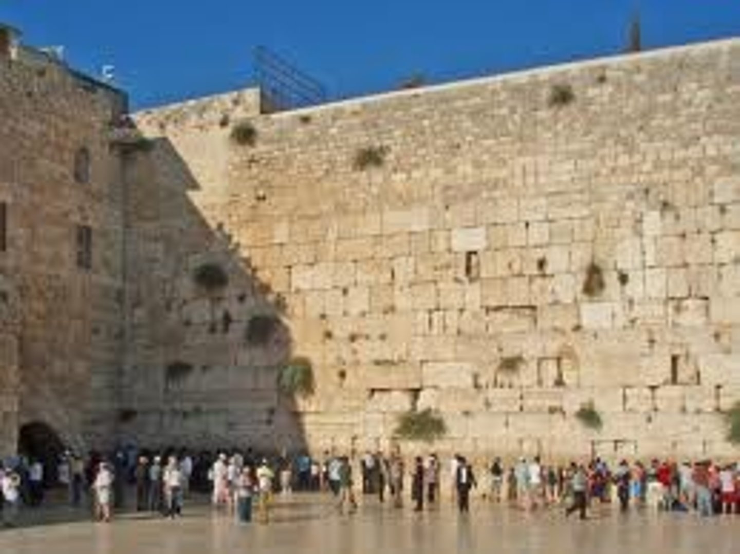 <p>wall</p>