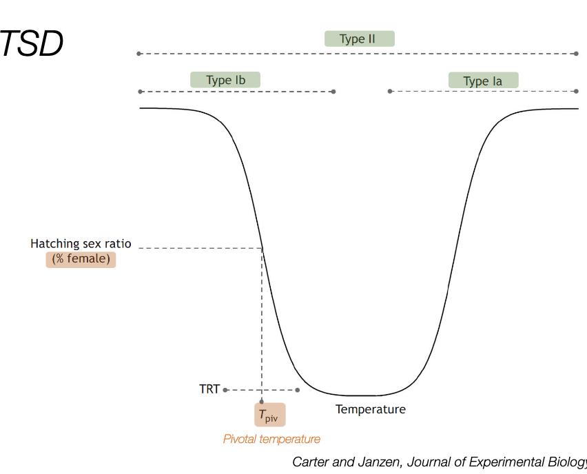 <p>type Ia, type Ib, type II</p>