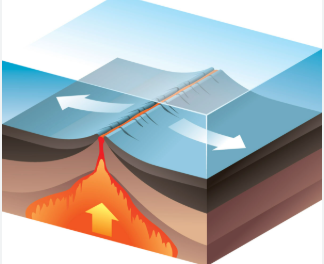 <p>New oceanic crust is being formed as tectonic plates pull apart, allowing magma to rise. </p>