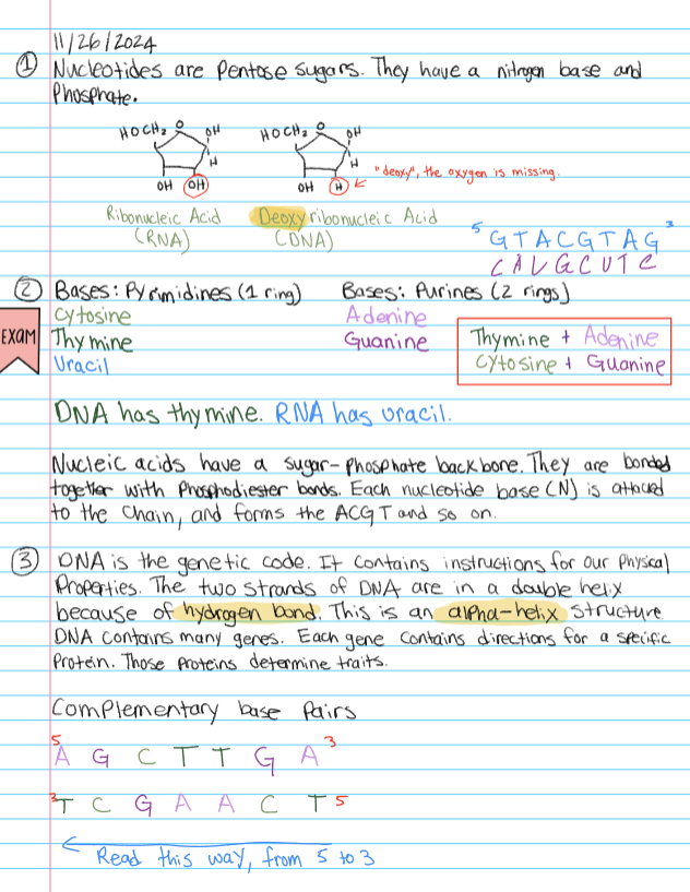 knowt flashcard image