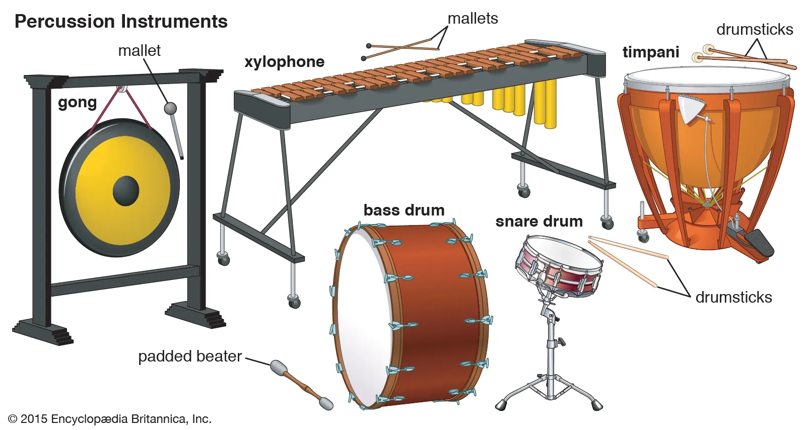 <p>percussion <span style="font-family: Arial, Helvetica, sans-serif">/pɚˈkʌʃ.</span>ən<span style="font-family: Arial, Helvetica, sans-serif">/ (noun)</span></p>