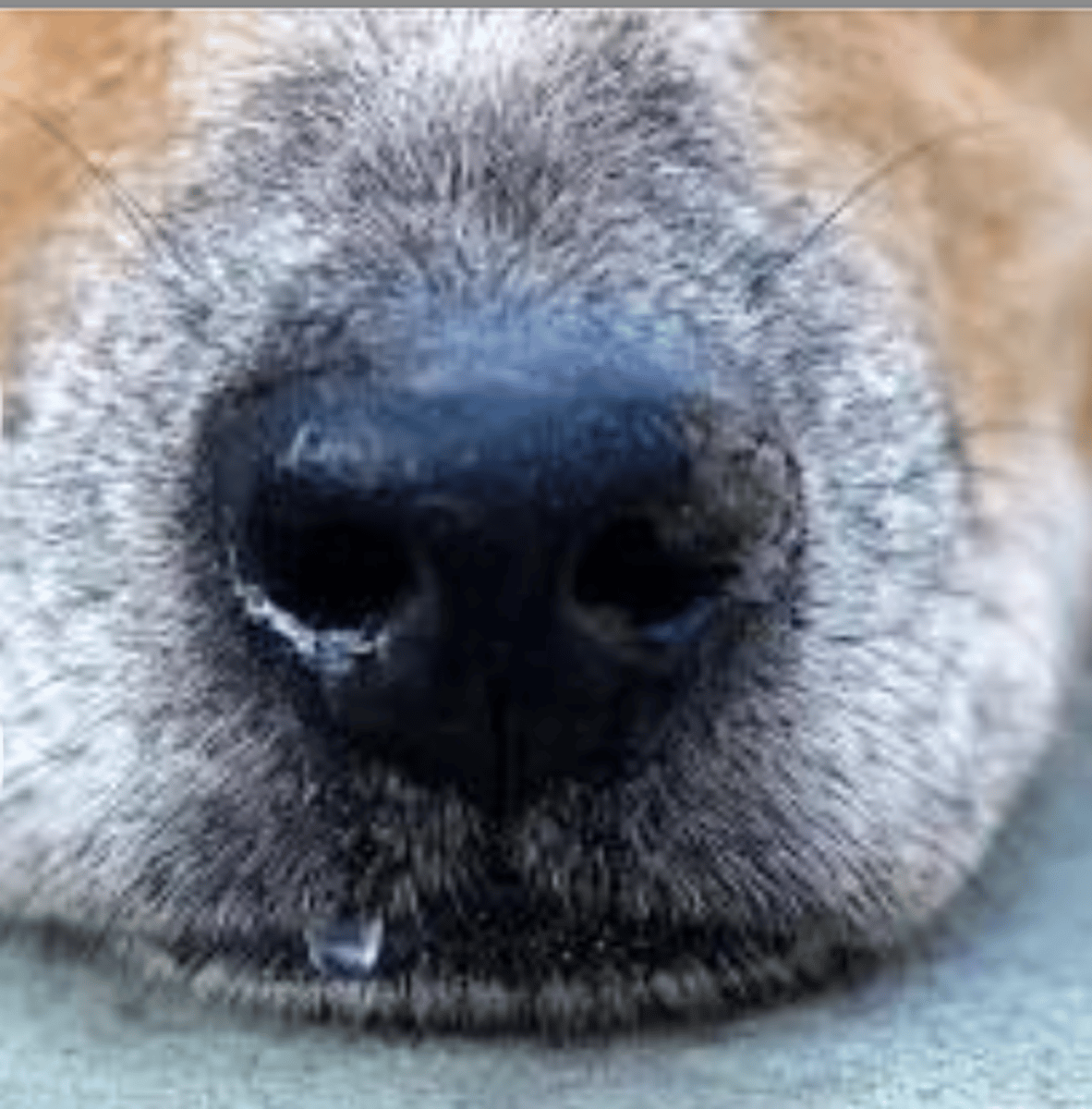 <p>what is this discharge called?</p>