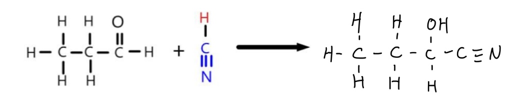 <ul><li><p><strong>KCN and a dilute acid</strong> is commonly used to provide cyanide ions and hydrogen ions, but this can be simplified in equations to writing <strong>HCN</strong></p></li><li><p>This produces 2-hydroxybutanenitrile, as a carbon is added onto the chain</p></li></ul>