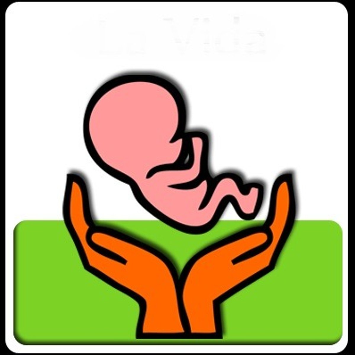<p>life</p>